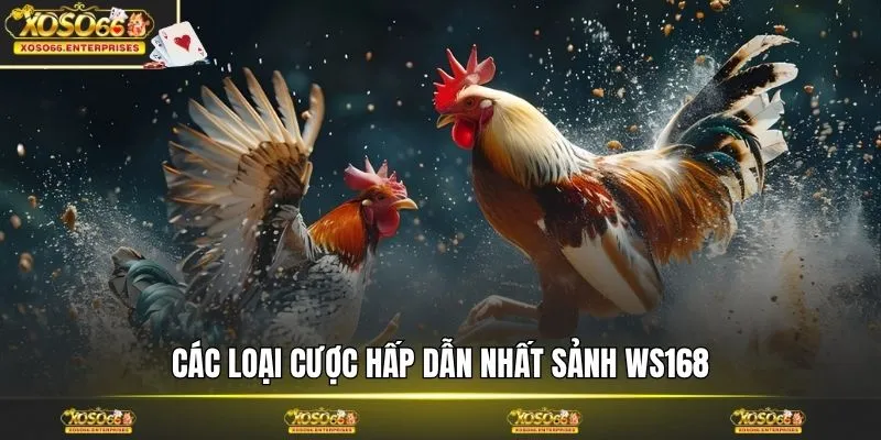 Các loại cược hấp dẫn nhất sảnh WS168