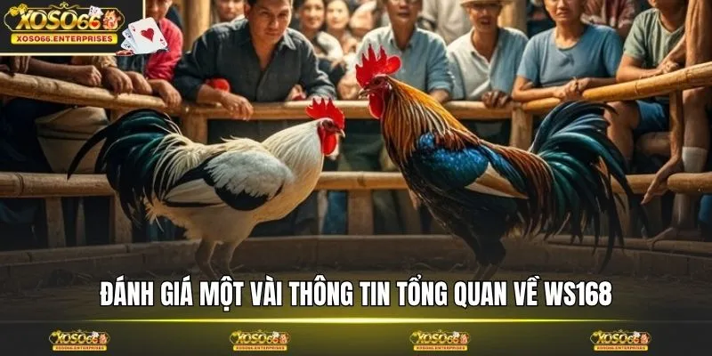 Đánh giá một vài thông tin tổng quan về WS168