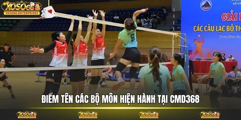 Điểm tên các bộ môn hiện hành tại CMD368