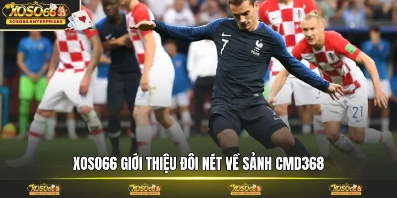 XOSO66 giới thiệu đôi nét về sảnh CMD368